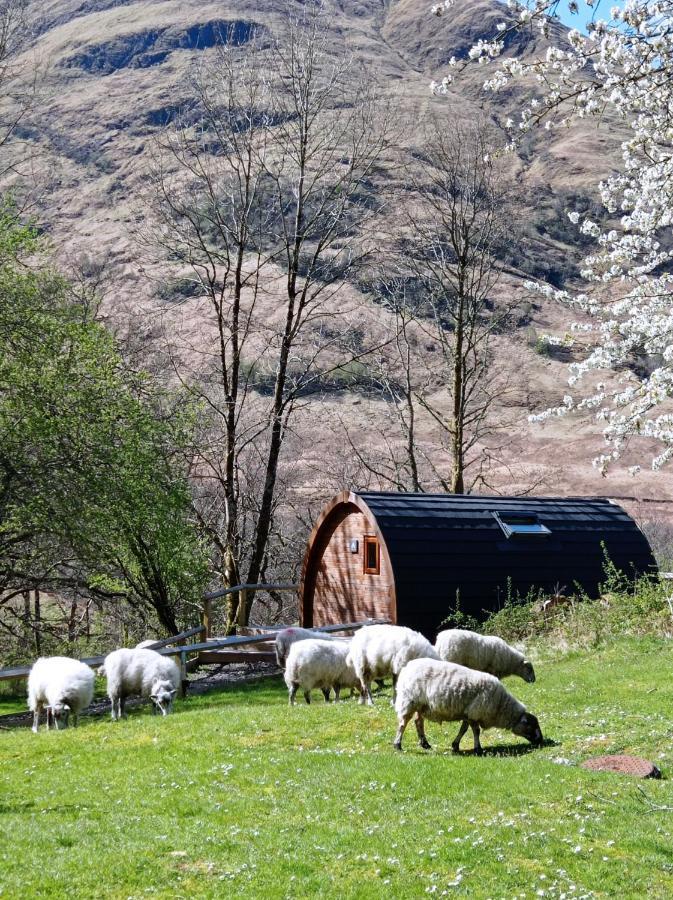Glencoe Youth Hostel 巴拉胡利什 外观 照片